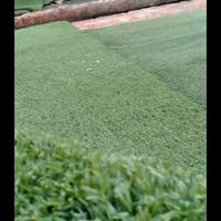 Gambar rumput sintetis second multiguna dari ivay Kab. Bekasi 4 Tokopedia