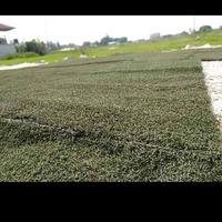 Gambar rumput sintetis second multiguna dari ivay Kab. Bekasi 1 Tokopedia