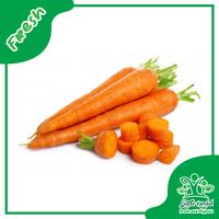 Gambar Wortel Organik - Sayur Kendal - 250gr dari Sayur Kendal Menteng Kota Administrasi Jakarta Pusat 1 Tokopedia