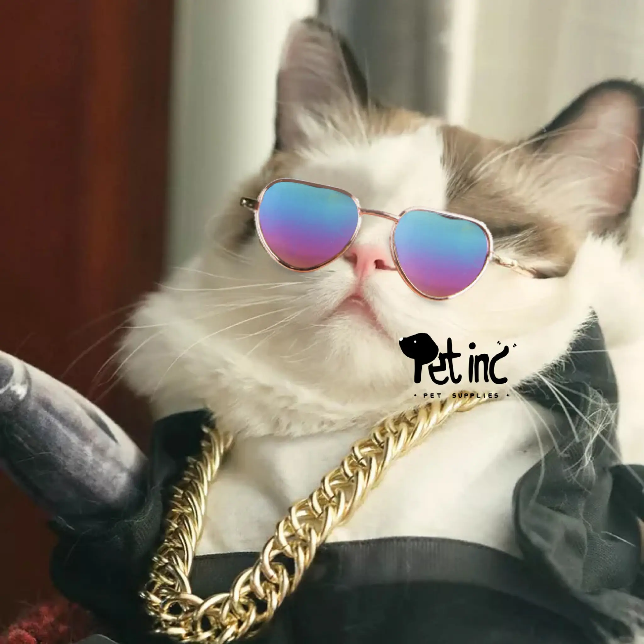 Heart sunglass for dog and cat