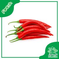 Gambar Cabe Merah Besar - Sayur Kendal - 1000gr dari Sayur Kendal Menteng Kota Administrasi Jakarta Pusat 1 Tokopedia