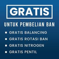 Gambar Toyo Tires Proxes R52A 215 50 R18 92V TLY MGSS NB1Z Ban Mobil dari OTTOBAN INDONESIA Kota Administrasi Jakarta Pusat 2 Tokopedia