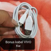 Gambar Adapter Charger Vivo S1 Z1pro Bekas Ori 100000000000% dari omjok Kota Administrasi Jakarta Utara 5 Tokopedia