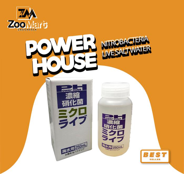Gambar Power House Nitrobacteria Live Salt Water dari ZooMart Indonesia Kota Administrasi Jakarta Utara Tokopedia