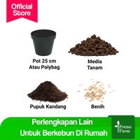 Gambar Pupuk Kandang Sapi Organik dari Potme Farm Kota Denpasar 3 Tokopedia