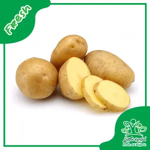 Kentang - Sayur Kendal Fresh & Organic