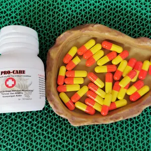 procare ecer ( 1 kapsul) / procare / obat pilek torto /obat kura darat