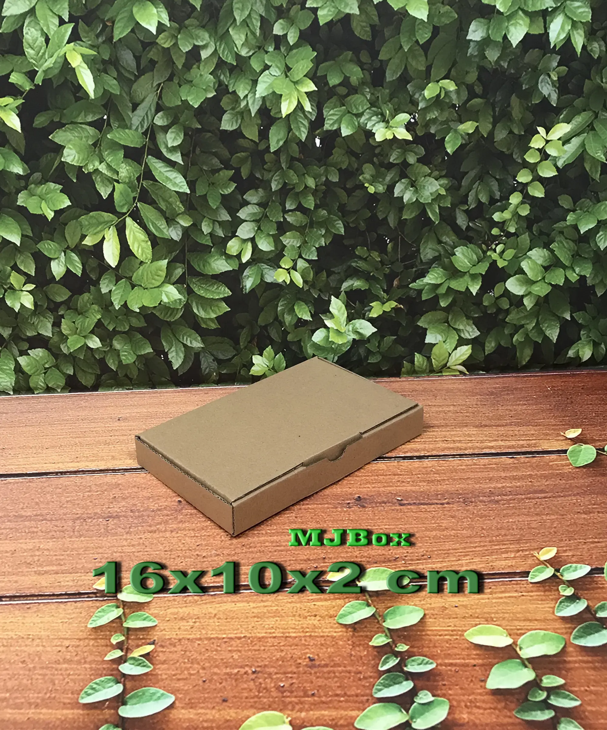 Kardus karton 16x10x2 cm.Die Cut kotak Aksesoris dll model box pizza