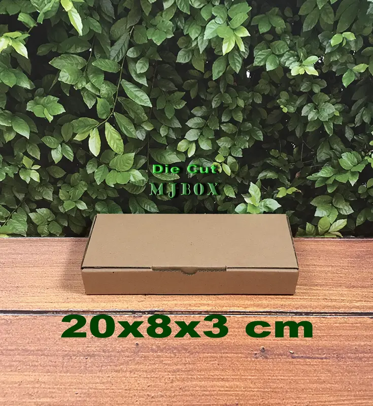 Kardus karton 20x8x3 cm.Die Cut kotak Aksesoris dll model box pizza 0