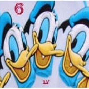 Gambar Pocketbac Holder Donald Duck dari Lti Shop2 Kota Administrasi Jakarta Selatan Tokopedia