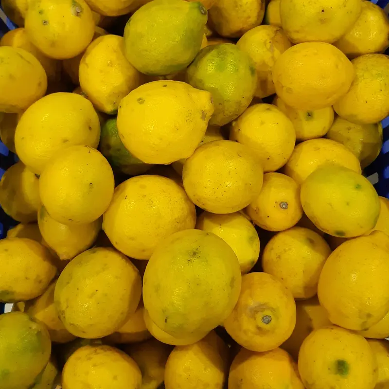 GROSIR TERMURAH 1kg Lemon California Buah Jeruk Lemon Super 3