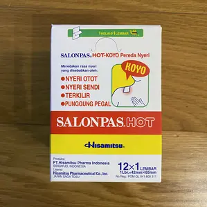 Salonpas Hot - 1 box (10 sachet @ 12lembar)