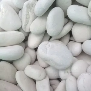 Batu coral ukuran medium 1kg//batu hiasan taman