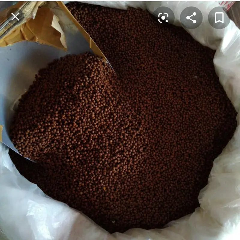 pelet ikan lele nila mas gurame bawal 1 kg 2