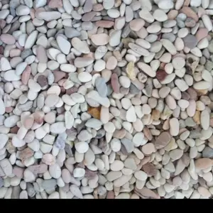 Batu coral pancawarna 12 kg//coral pancawarna