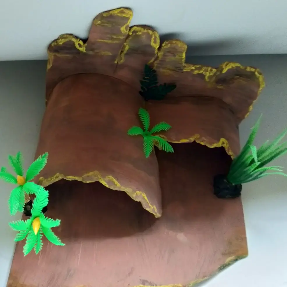 hiding cave reptil