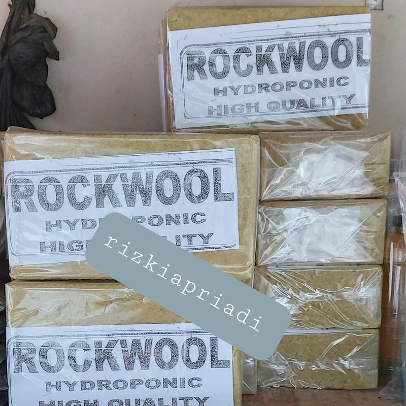 Rockwoll Hidroponik 1