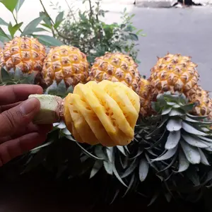 Buah Nanas Madu Premium – Manis Alami, Tidak Bikin Gatal – Kirim Cepat - nanas madu kupas per buah