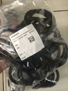 Gasket group nuova simonelli appia