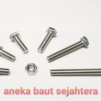 Gambar Baut Mur Hex M10x20 (P 1.5) Stainless Steel dari ANEKA BAUT SEJAHTERA Kab. Bekasi 2 Tokopedia