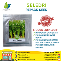Gambar Benih seledri repack dari Atapponik Store Kota Surabaya 1 Tokopedia