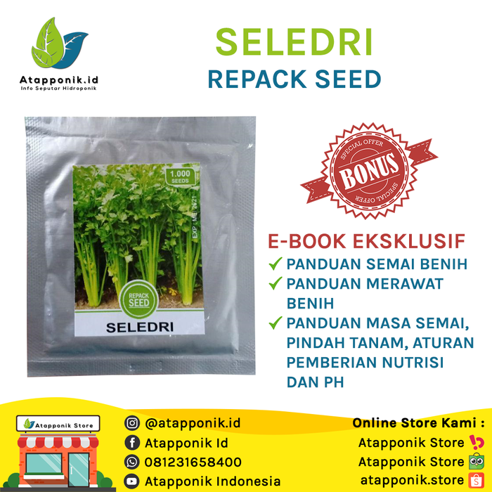 Gambar Benih seledri repack dari Atapponik Store Kota Surabaya Tokopedia