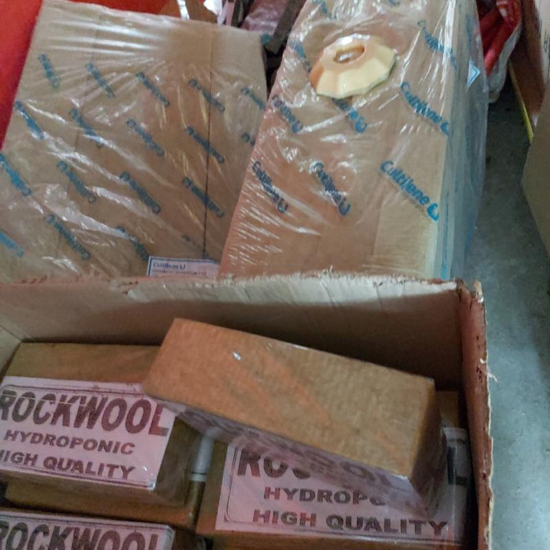 Rockwoll Hidroponik 2