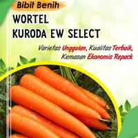Gambar 100 biji benih WORTEL UNGGULAN - bibit sayuran wortel kuroda unggulan benih tanaman - Wortel dari Nada fast benih jaya Kab. Banyumas 3 Tokopedia