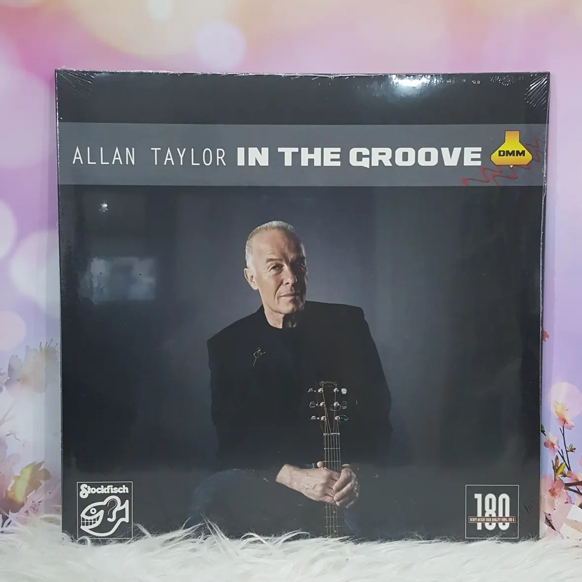 Allan Taylor, in the groove - vinyl