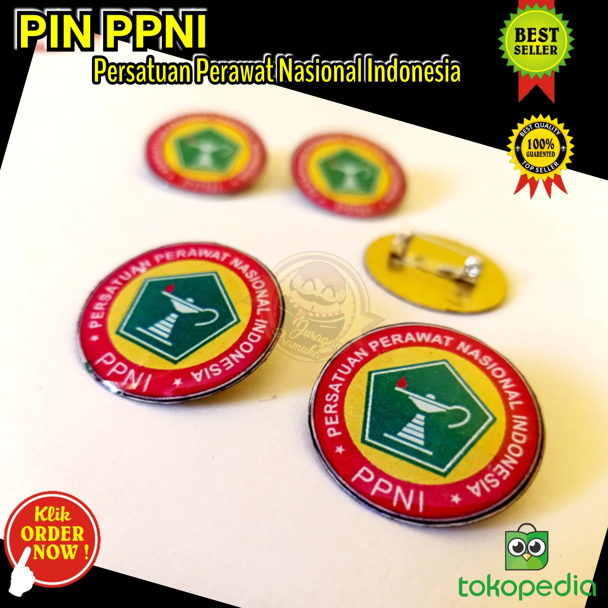 PIN PPNI Persatuan Perawat Nasional Indonesia