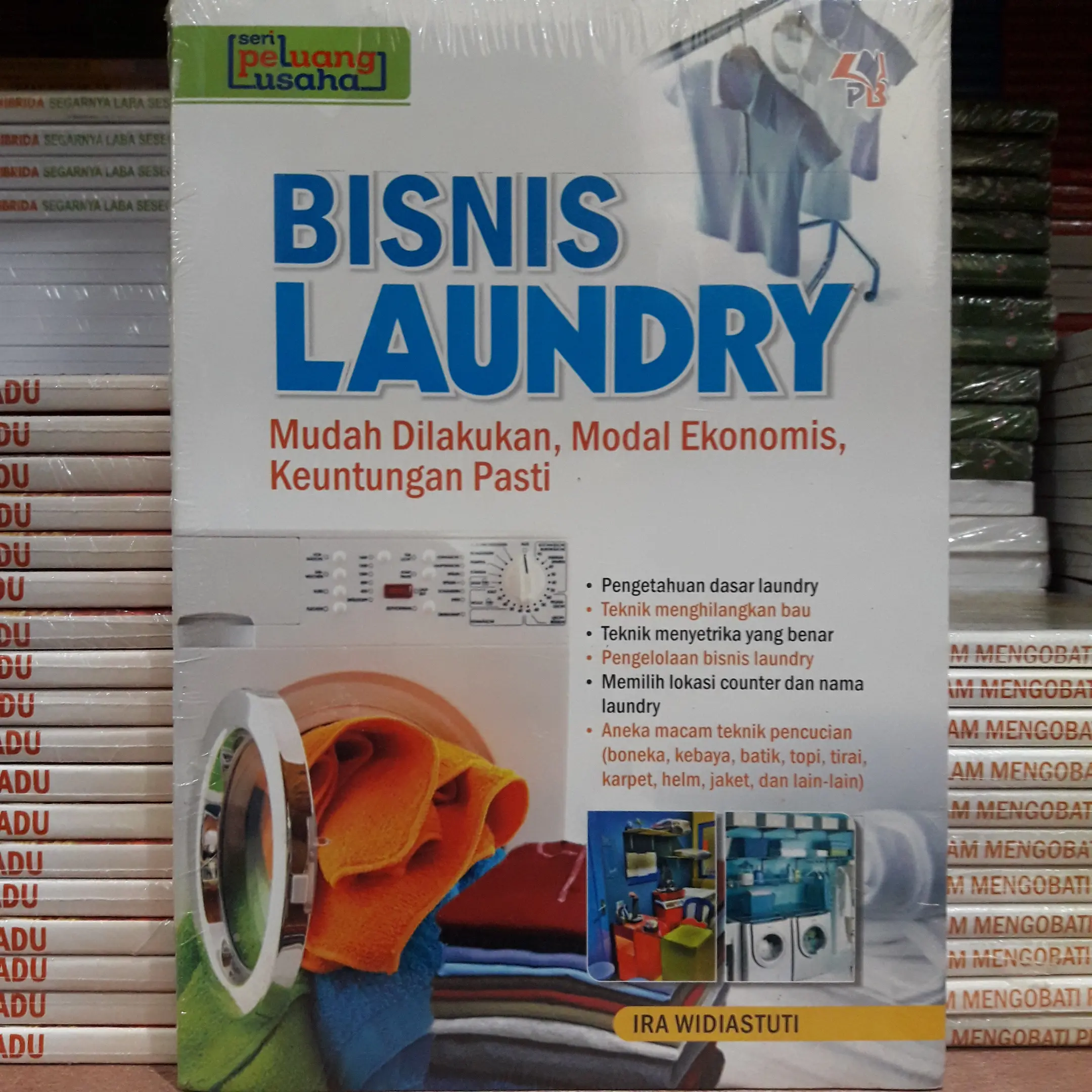 Buku Usaha Bisnis Laundry