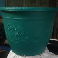 Gambar pot shallom glory 40cm ojek only dari raziq pot Kota Administrasi Jakarta Barat 2 Tokopedia