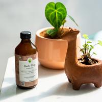 Gambar Daily Dep Bawang Tunggal Madu Etc Mengurangi Lemak Darah HERBALDOC dari HERBALDOC Kota Administrasi Jakarta Barat 3 Tokopedia