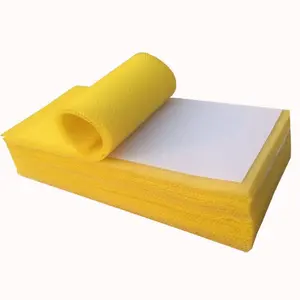 Pondasi Sarang Lebah Apis Melifera