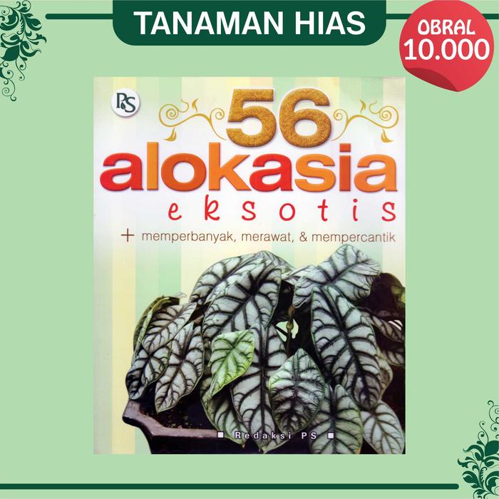 Gambar BUKU OBRAL ANEKA TANAMAN HIAS ORIGINAL |1| Rp. 10.000 - 72 Anthurium dari Pustaka Baru Press Kab. Bantul 5 Tokopedia