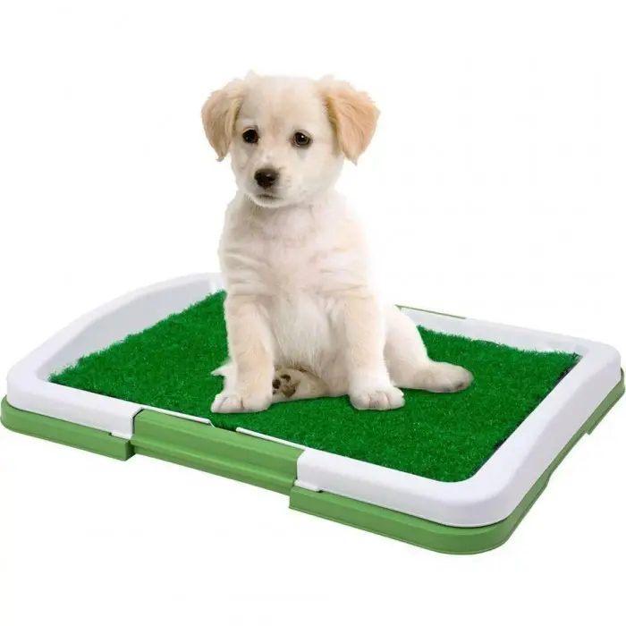 Tatakan Poop Pee Potty Tray + Rumput - Pet Toilet Anjing Kucing Hewan 1