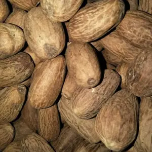 Biji pala 100 gr