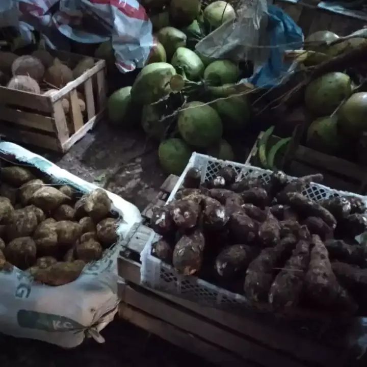 ubi kimpul 1kg