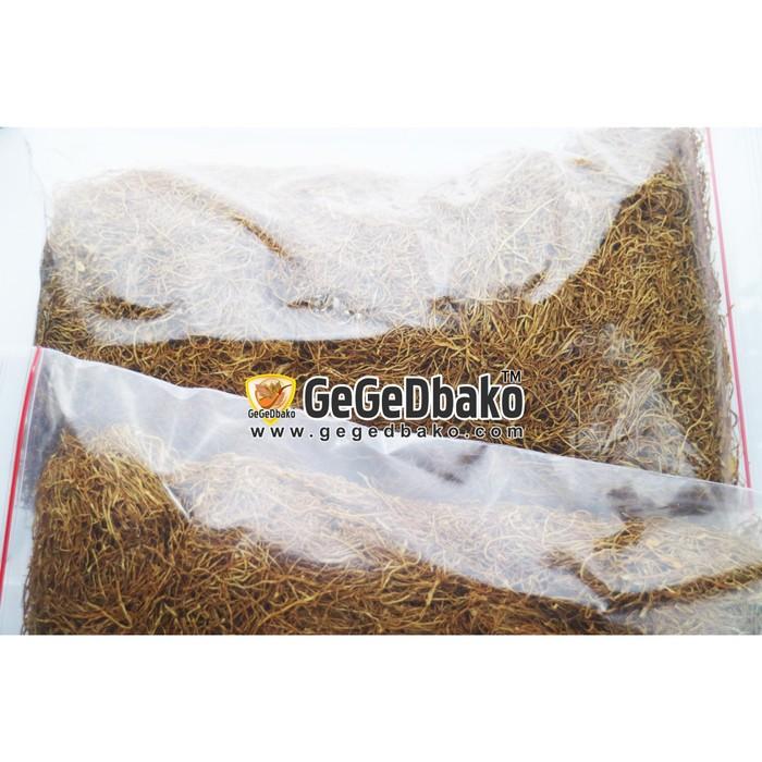 Gambar Ghayo Aceh Super Kuning 50 - GegeDbako dari Kang Gege Kota Tangerang Tokopedia