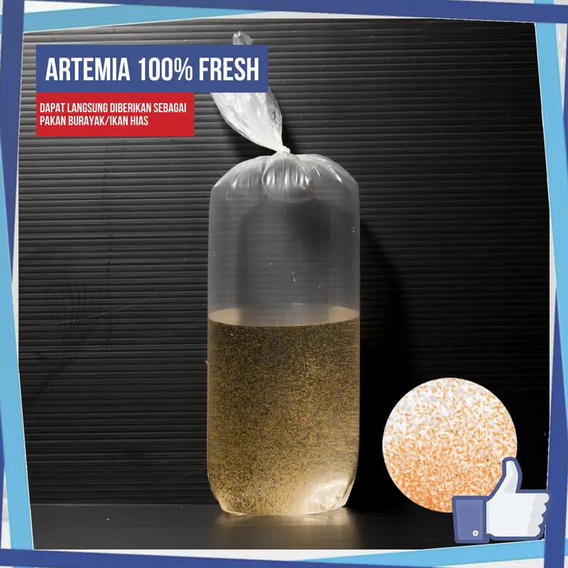 Pakan Hidup Artemia Baru Menetas Fresh Pakan Guppy / Burayak 1
