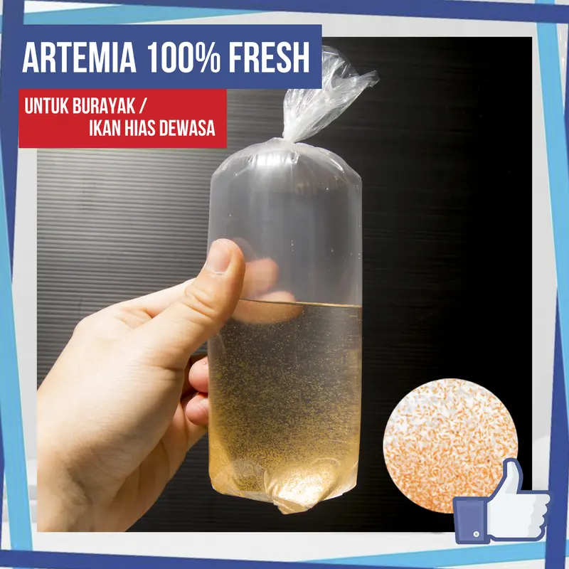 Pakan Hidup Artemia Baru Menetas Fresh Pakan Guppy / Burayak 0