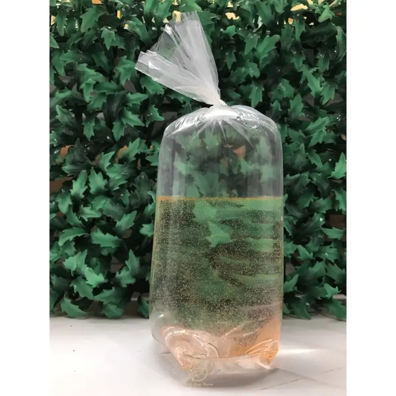 Pakan Hidup Artemia Baru Menetas Fresh Pakan Guppy / Burayak 2
