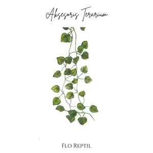 Daun Rambat Aksesoris kandang hewan reptil