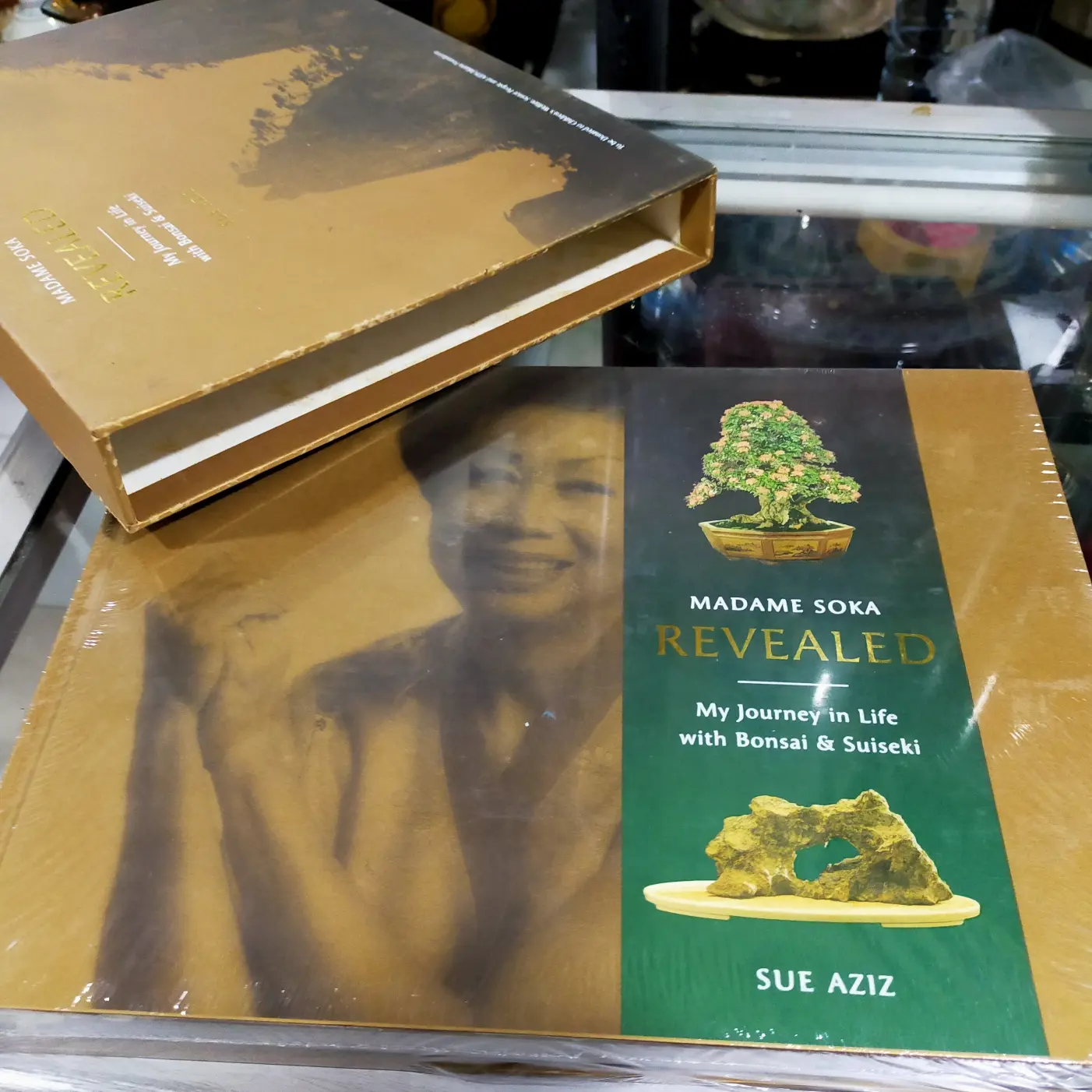 Madame soka.my journey in life with BONSAI and SUISEKI