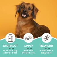 Gambar Natural Dog Company Snout Soother Tin - 2oz dari Drvet Indonesia Kab. Tangerang 5 Tokopedia