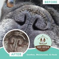 Gambar Natural Dog Company Snout Soother Tin - 2oz dari Drvet Indonesia Kab. Tangerang 4 Tokopedia