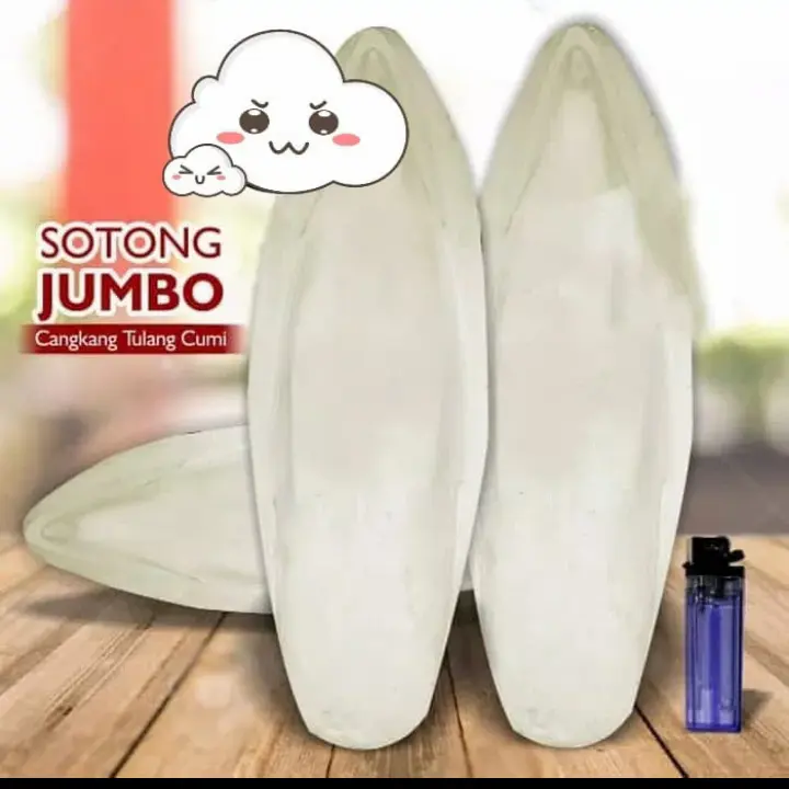 sotong ukuran jumbo cangkang tulang cumi kalsium iodium garam