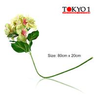 Gambar Tokyo1 Bunga Plastik Hydrangea Green 80Cm (241759) dari TOKYO 1 Kota Administrasi Jakarta Utara 2 Tokopedia