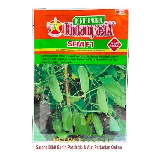 Gambar Bibit Mentimun F 1 Benih Timun Semi F1 Bintang Asia 900 Butir 20gr dari PUROTANI.ID Kab. Purworejo Tokopedia