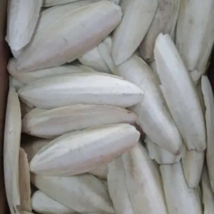 asinan tulang sotong untuk gacorkan dan kalsium untuk burung Lovebird